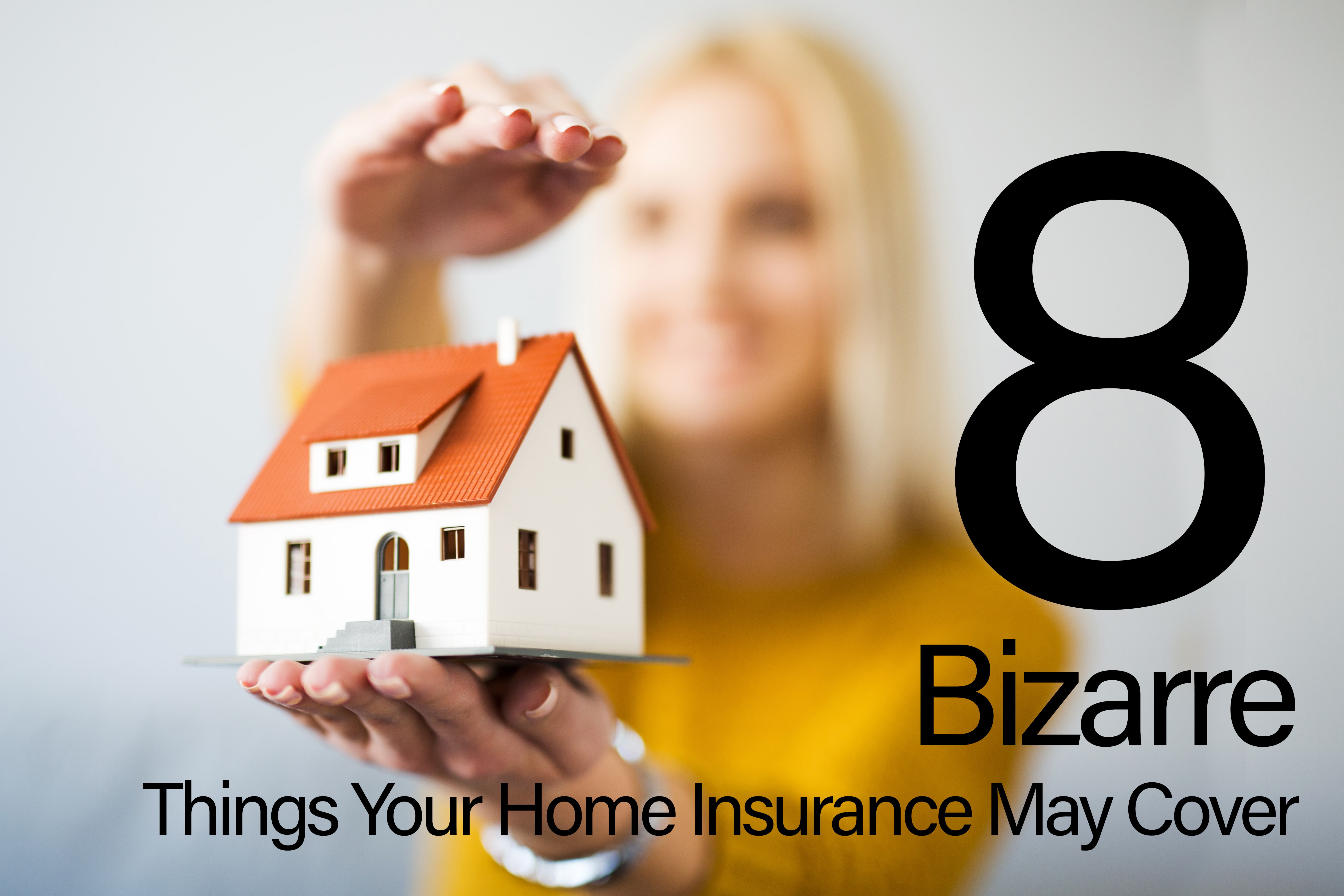 8 Bizarre Things Your Home Insurance May Cover – Hightower Insurance Agency